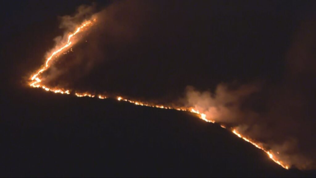 Minas Gerais Declara Emergência por Incêndios Florestais; Veja o que Isso Implica Imagem do artigo