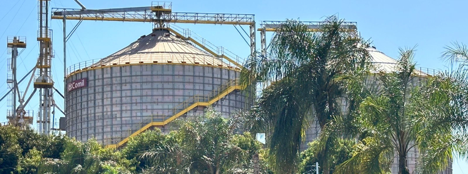 Nova Linha de Crédito do BDMG Impulsiona Sustentabilidade no Agronegócio Mineiro Imagem do artigo
