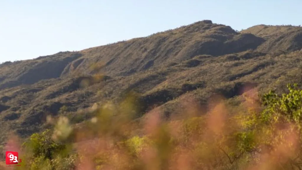 Censo Turismo 2025: Minas Gerais Registra Crescimento de 62% em Ações de Fomento Censo Turismo 2025: Minas Gerais Registra Crescimento de 62% em Ações de Fomento