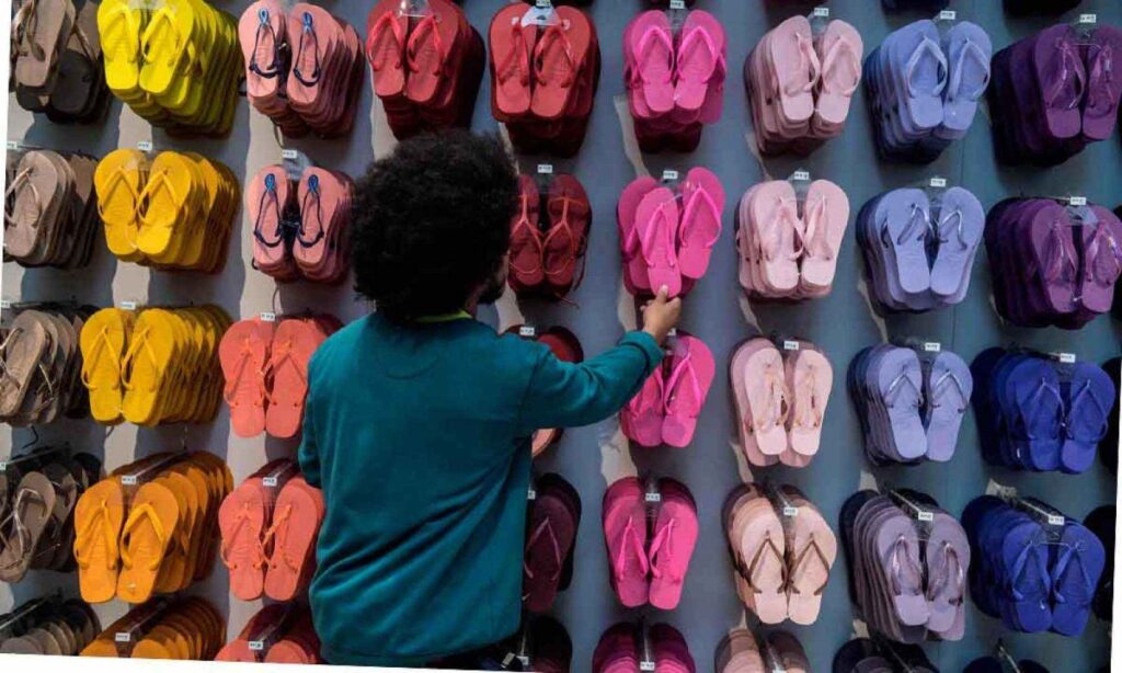 Desafios Brasil: das eleições à governabilidade em tempos de crise