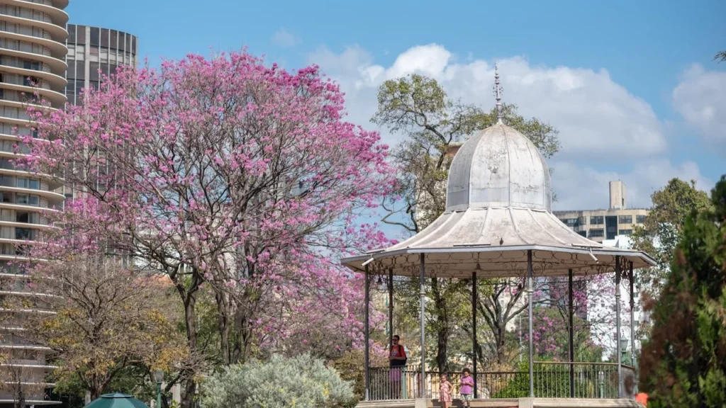 Descubra Belo Horizonte: Um Roteiro Cultural de 3 Dias