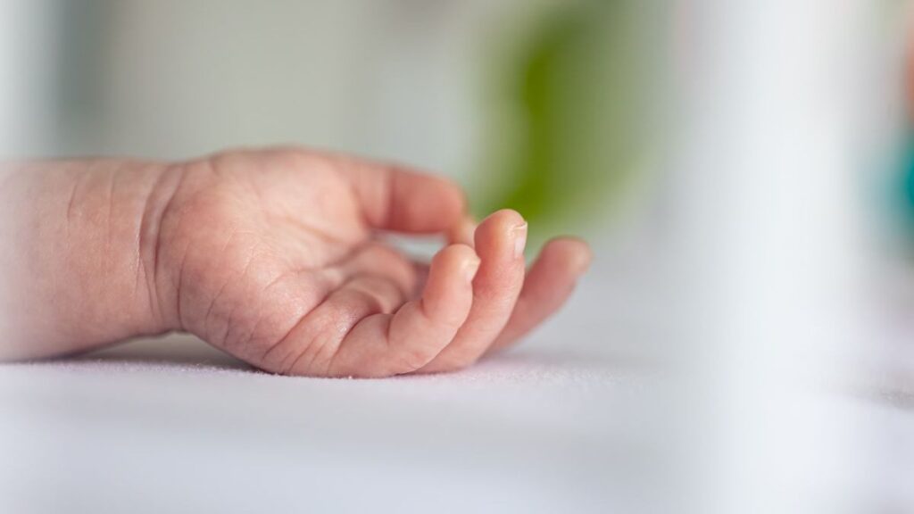 Falhas na Assistência Médica: Recém-nascidos em Santa Catarina sob Perigo