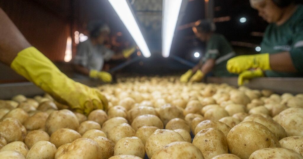 Minas Gerais Recebe R$ 65,3 Bilhões em Investimentos em 2025 Minas Gerais Recebe R$ 65,3 Bilhões em Investimentos em 2025