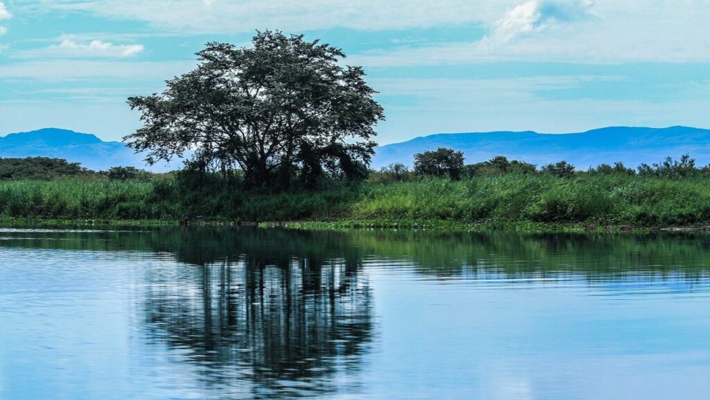 Passos: O Polo de Saúde que Transforma o Sul de Minas em Referência Nacional de Bem-Estar