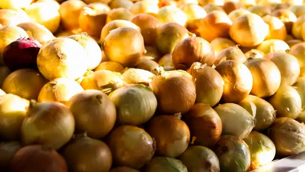 Aumento do Preço da Cebola em Minas Gerais: Alta de 34% em Dezembro de 2025 Aumento do Preço da Cebola em Minas Gerais: Alta de 34% em Dezembro de 2025