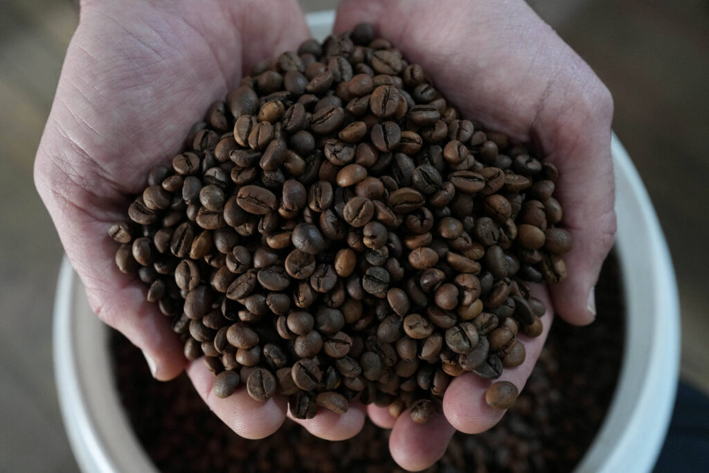 Café na Prensa: Minas Gerais Aumenta Produção de Café Conilon e Diversifica Cultivo