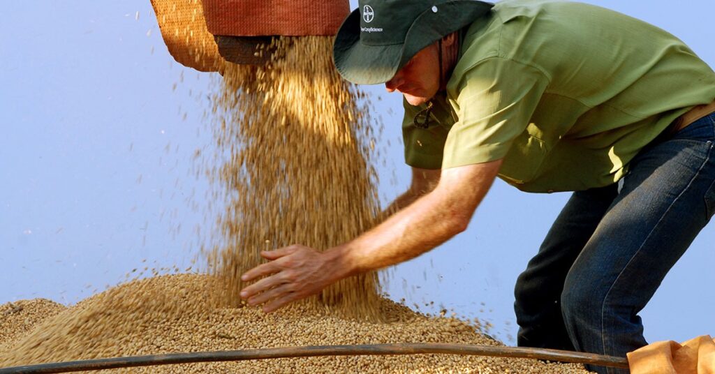 Conab Prevê Safra de Grãos de 18,47 Milhões de Toneladas em Minas para 2025/26