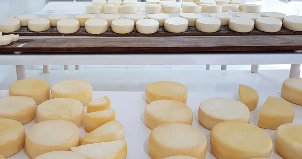 Dia Mundial do Queijo: Minas Gerais Celebra o Reconhecimento da Unesco e Atraí Turistas