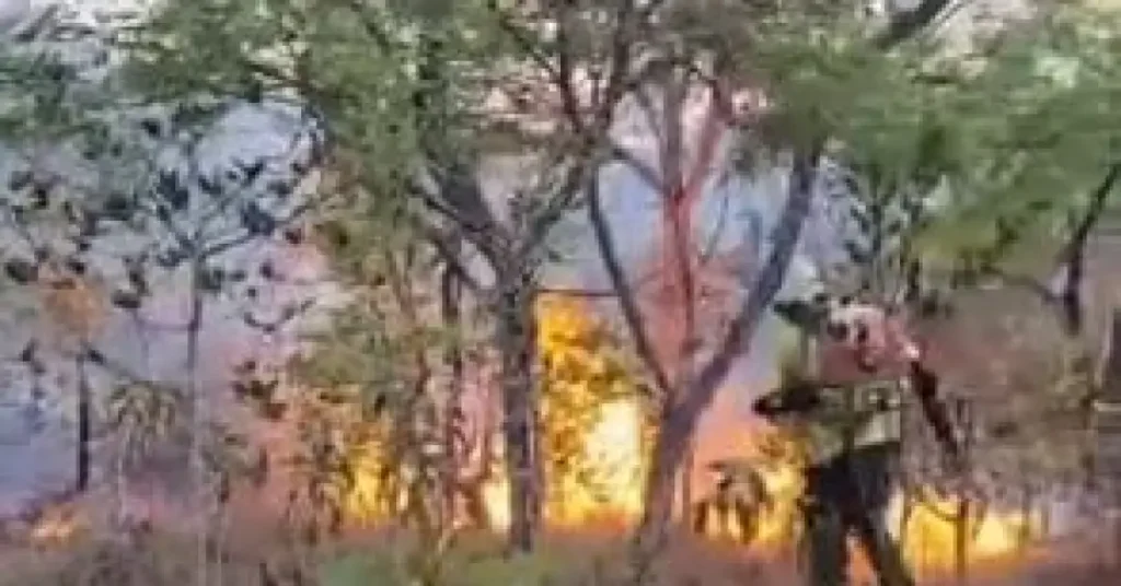 Economia Verde: Desafios e Urgências para o Futuro do Planeta Economia Verde: Desafios e Urgências para o Futuro do Planeta