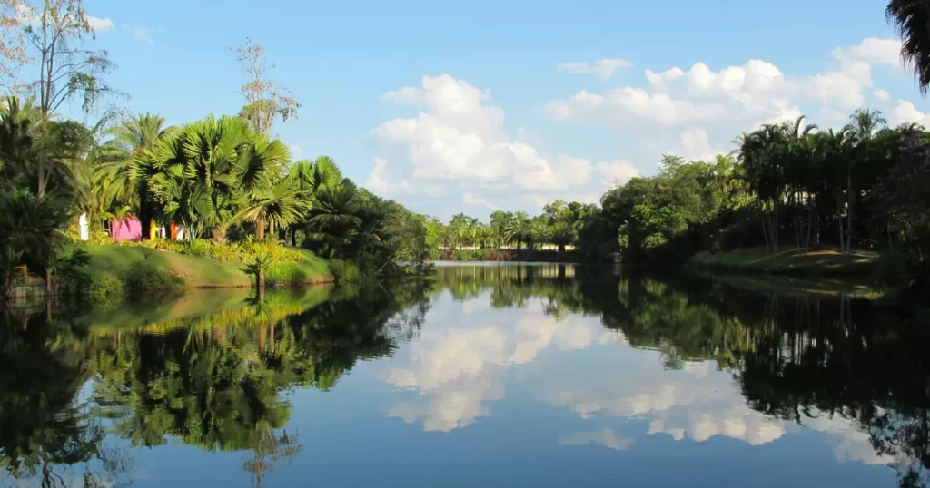 Inhotim: O Museu que Coloca Minas Gerais no Radar Internacional