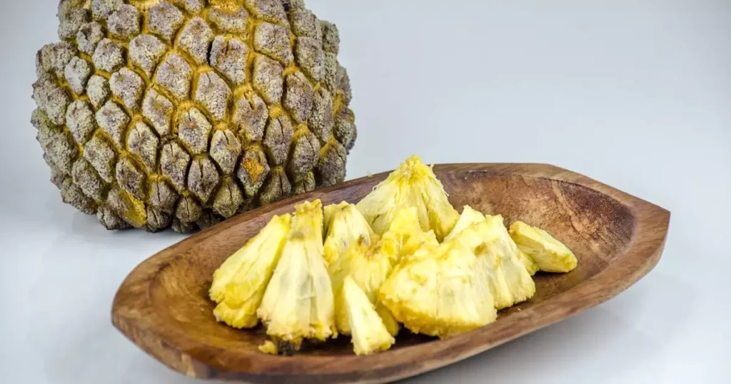 Marolo: O Fruto do Cerrado que Une Sabor e Preservação Ambiental