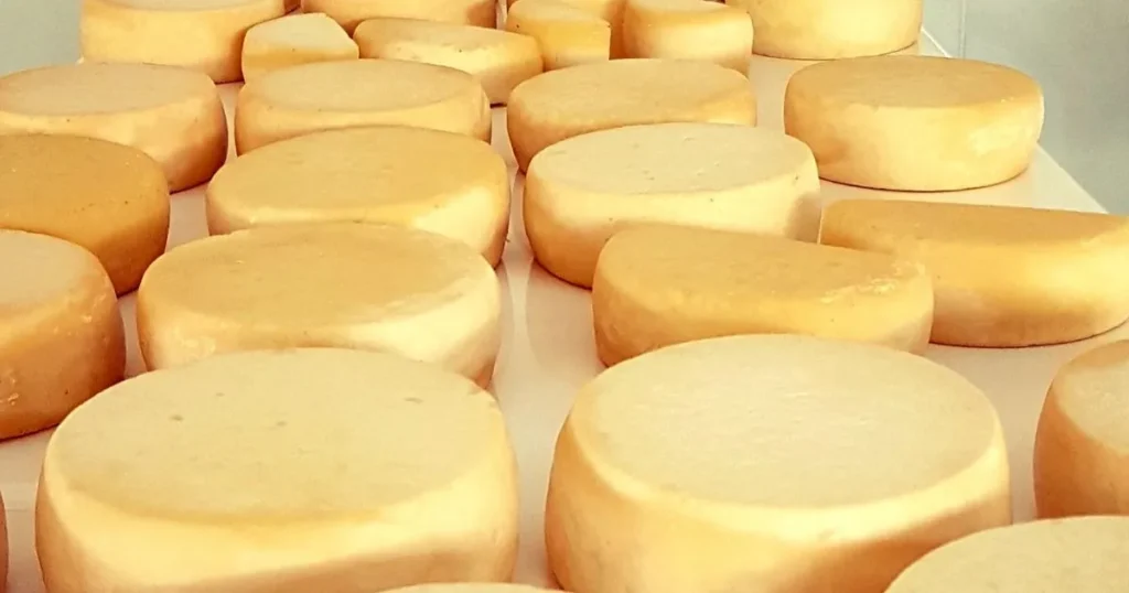 Minas Gerais Celebra o Dia Mundial do Queijo com Produção Recorde de 43 mil toneladas