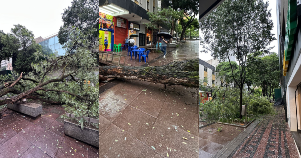 Minas Gerais em Alerta: Mais de 600 Cidades Enfrentam Chuvas Intensas Minas Gerais em Alerta: Mais de 600 Cidades Enfrentam Chuvas Intensas