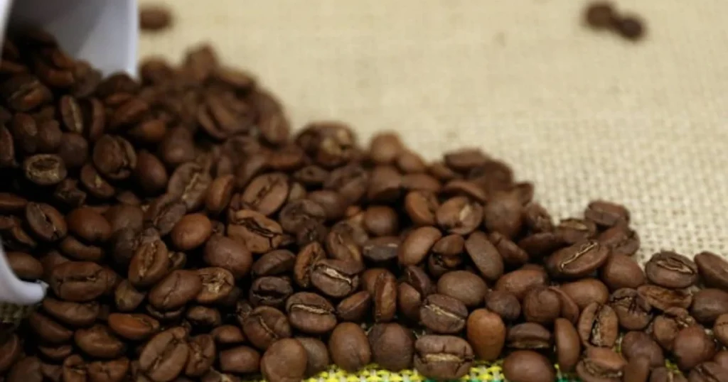 Queda nas Exportações de Minas Gerais para os EUA: Impactos do Tarifaço de Trump Queda nas Exportações de Minas Gerais para os EUA: Impactos do Tarifaço de Trump