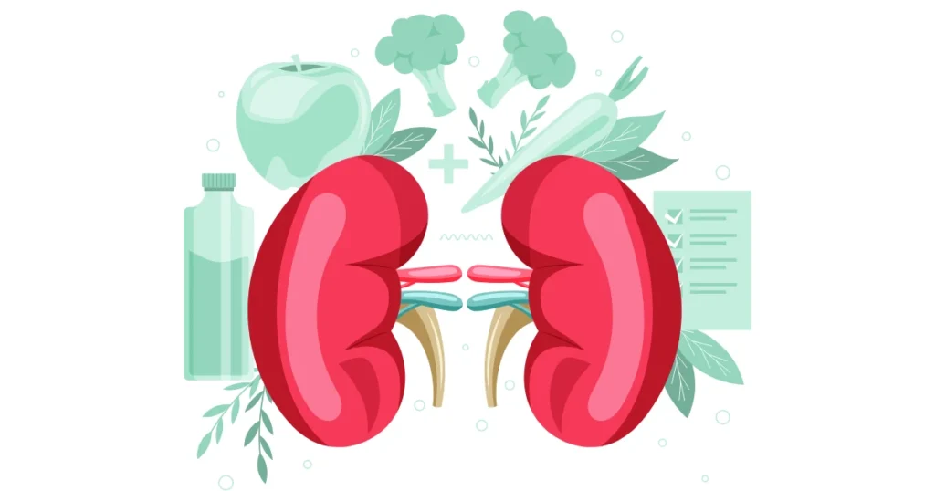 Brócolis: Aliado na Proteção dos Rins contra Danos do Açúcar