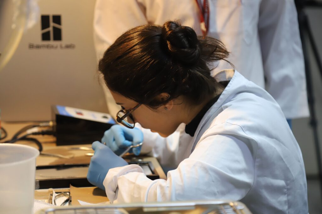 Cientistas de Minas Gerais: 60% das Bolsas da Fapemig São Femininas