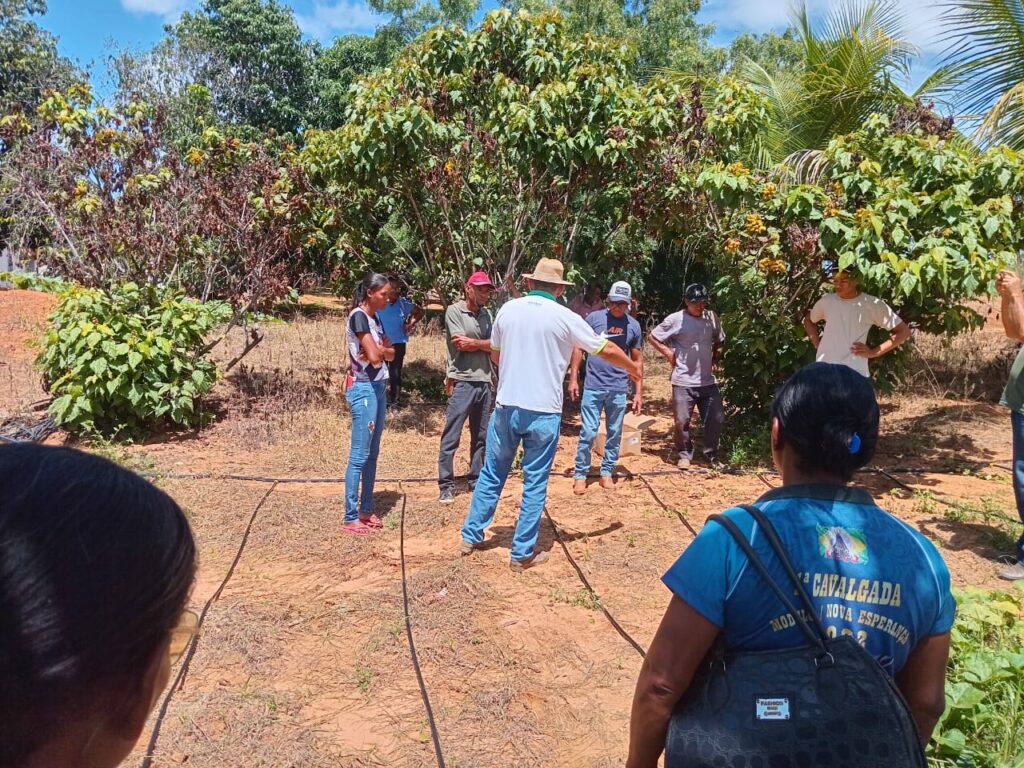 Kits de Irrigação do Idene Prometem Transformar a Produção de Hortaliças em Verdelândia