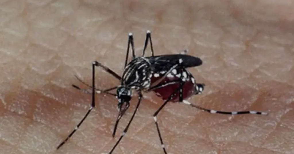 Minas Gerais registra primeira morte por dengue em 2026; mais duas mortes são confirmadas pelo Minis