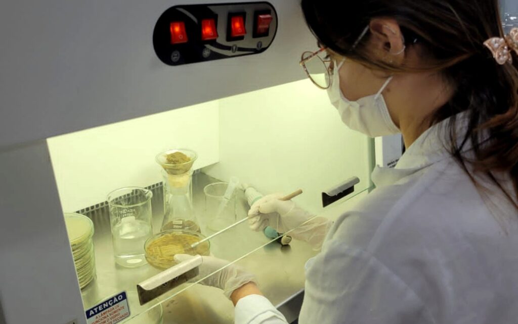 Pesquisa Brasileira Promete Acesso Ampliado a Açúcar Funcional: Entenda o Que é e Seus Benefícios