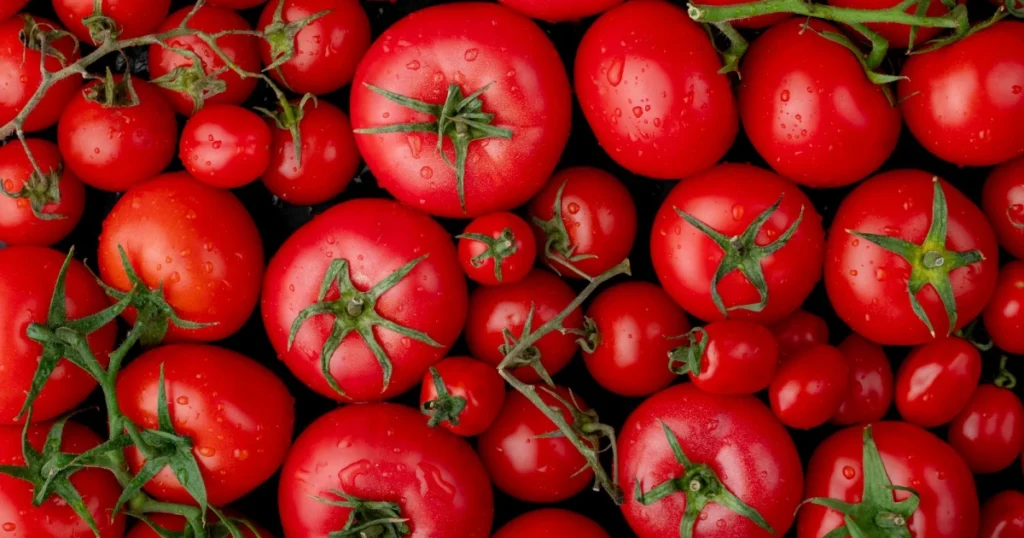 Tomate tem aumento de 50% e cesta básica em BH atinge preço alarmante