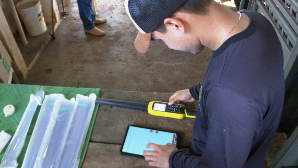 Transformação Digital na Pecuária: Produtores de Roraima Apostam em Tecnologia