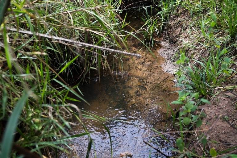 ANA e Igam Promovem Capacitação sobre Produtor de Águas em Minas Gerais ANA e Igam Promovem Capacitação sobre Produtor de Águas em Minas Gerais
