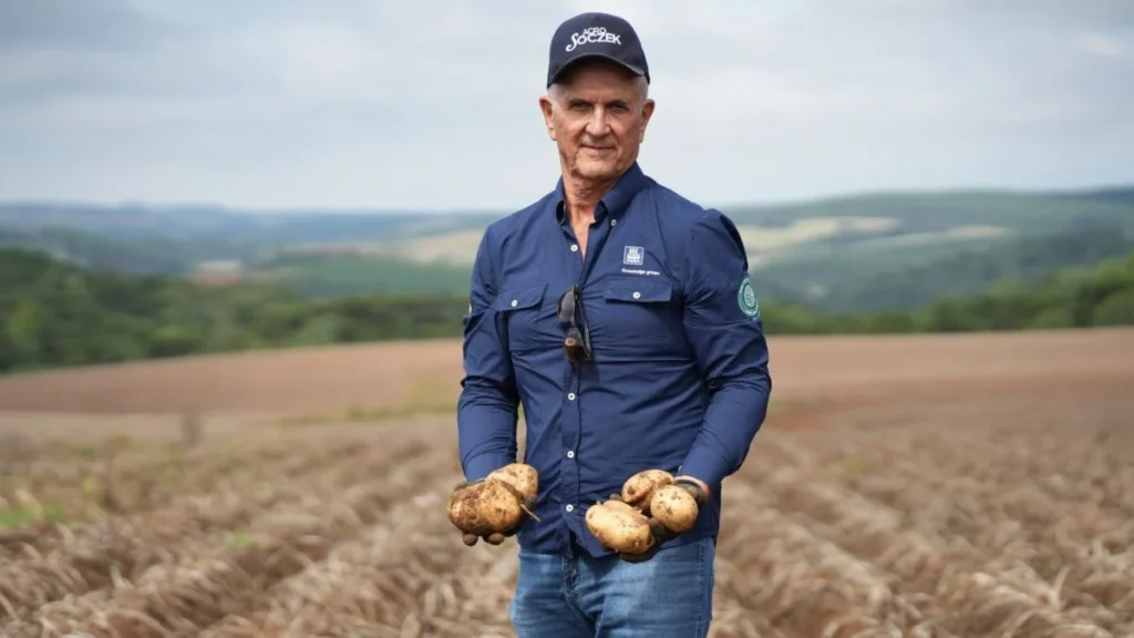 Batatas de Baixo Carbono: Inovação na Agricultura Brasileira