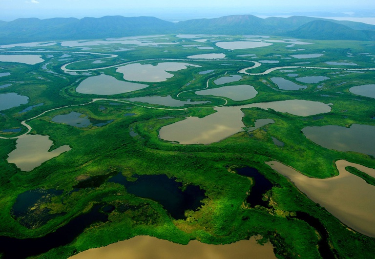Brasil Avança na Proteção do Pantanal com Ampliação de Unidades de Conservação na COP15 das Espécies Migratórias Brasil Avança na Proteção do Pantanal com Ampliação de Unidades de Conservação na COP15 das Espécies