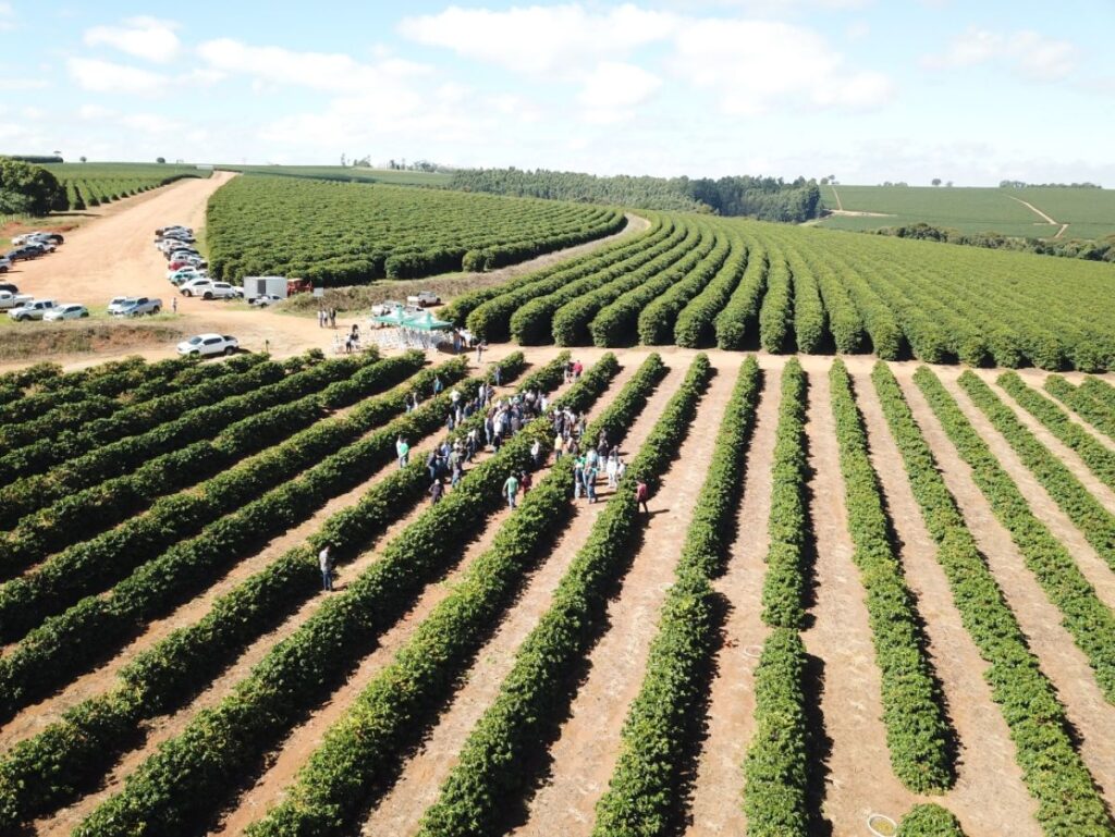 Crescimento do PIB de Minas Gerais em 2025 é de 1,4%, abaixo da média nacional