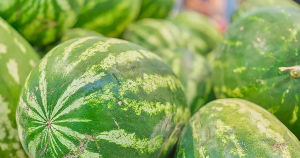Melancia: A Fruta do Verão que Beneficia o Coração e a Saúde