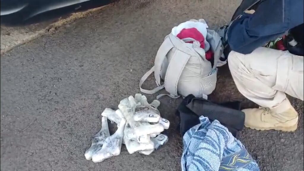 Minas Gerais lidera apreensões de armas no Brasil em 2026