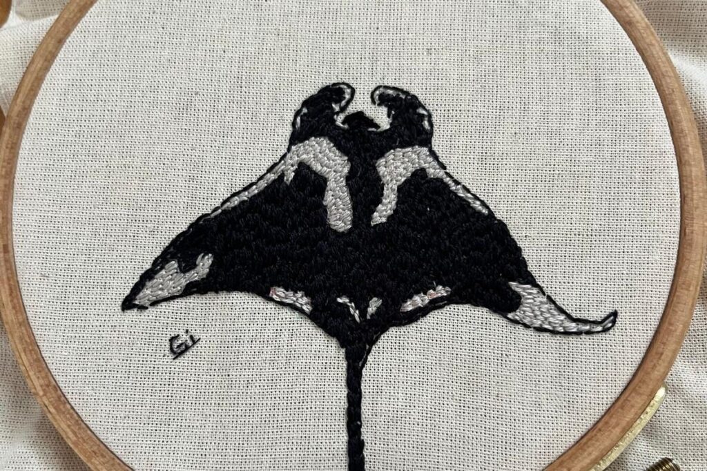 Oficina de Bordado Une Arte e Conservação da Biodiversidade na UFMG