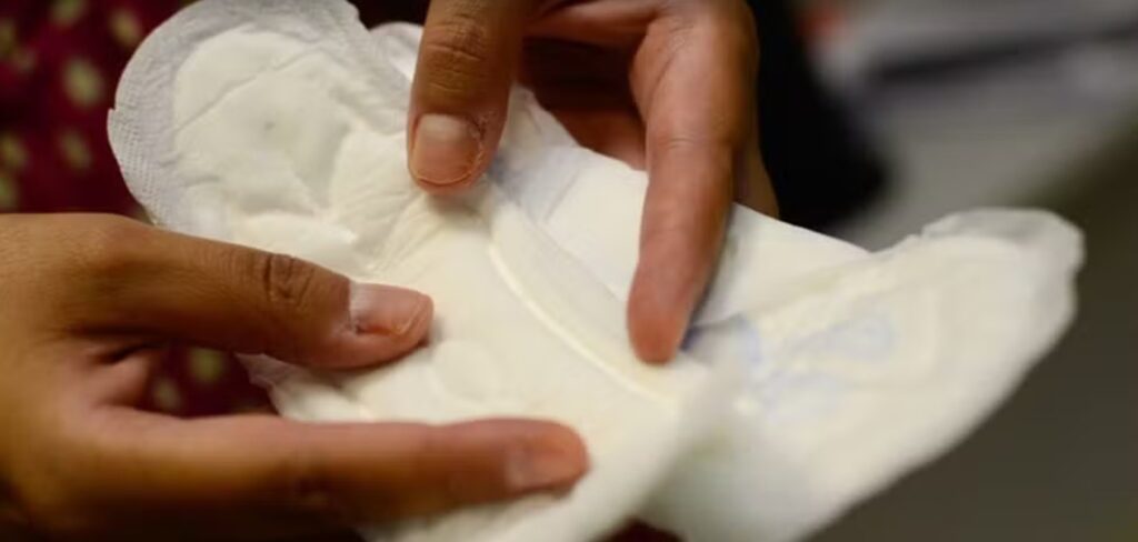 Santa Catarina se Destaca com Menor Impacto de Faltas Escolares por Falta de Absorventes Santa Catarina se Destaca com Menor Impacto de Faltas Escolares por Falta de Absorventes