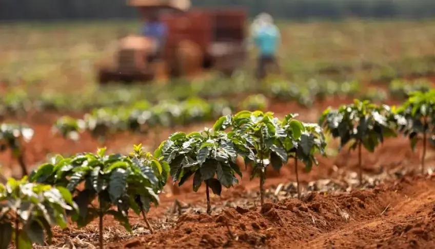 Teófilo Otoni Sedia Simpósio sobre Tecnologias para a Qualidade do Café Teófilo Otoni Sedia Simpósio sobre Tecnologias para a Qualidade do Café