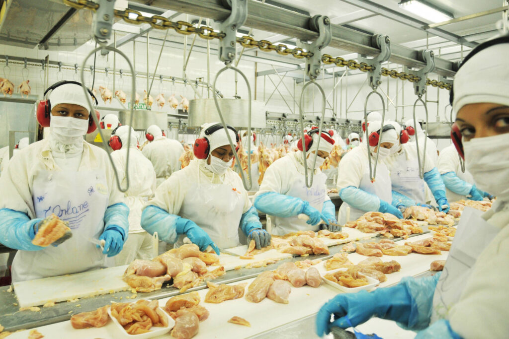 Agro Brasileiro Redireciona Exportações para o Mar Vermelho devido a Conflito no Oriente Médio