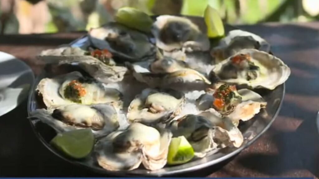 Calor Extremo Afeta Produção de Ostras em SC e Minas Gerais Brilha na Produção de Ovos