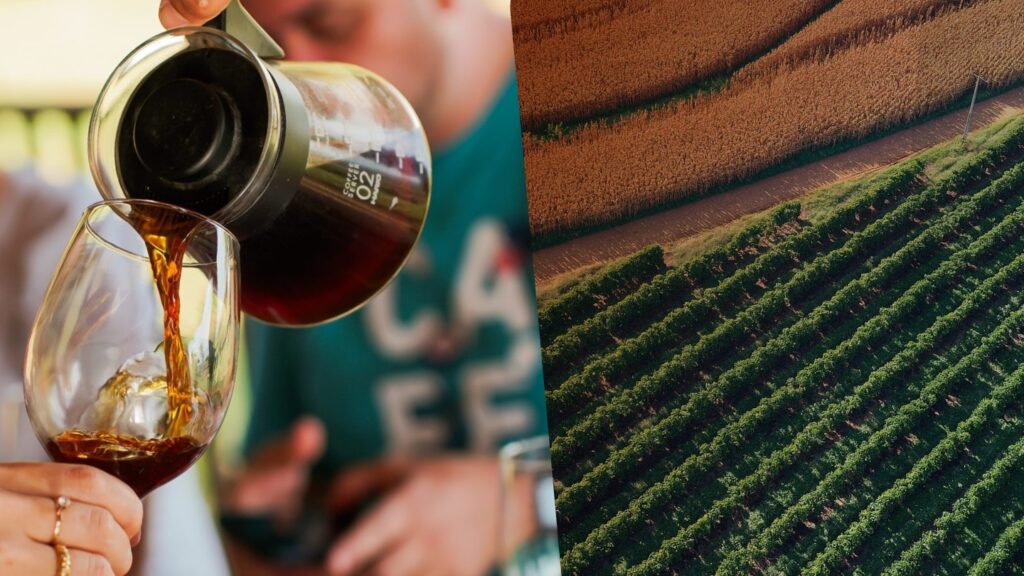 Descubra Destinos Imperdíveis para Vivenciar a Cultura do Café no Brasil