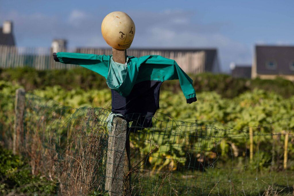 Espantalhos no Debate de Política Econômica: Uma Análise Necessária Espantalhos no Debate de Política Econômica: Uma Análise Necessária