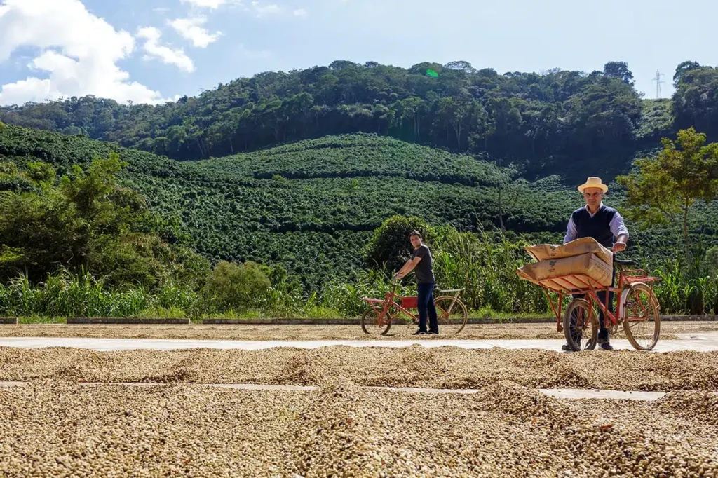 Exposição Celebrando Cafés de Origem Percorrerá Municípios do Espírito Santo