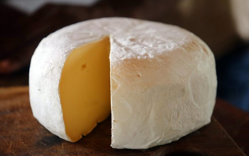 Festival no Sul de Minas Promove Concurso de Queijos Artesanais e Degustações Abertas