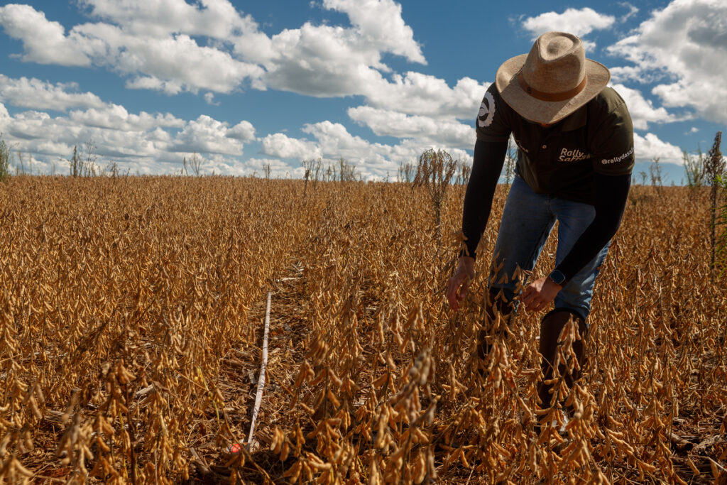 Investimentos Recordes em Minas Gerais: BDMG Impulsiona Economia e Gera Empregos