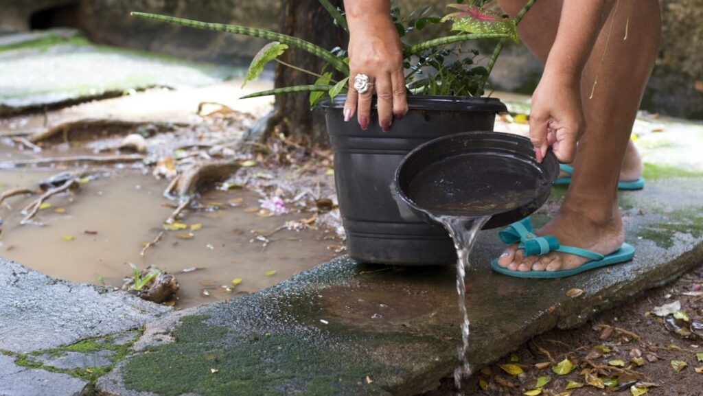 Minas Gerais Lança Primeiro Levantamento do Aedes aegypti em 2026 e Reforça Medidas de Prevenção Minas Gerais Lança Primeiro Levantamento do Aedes aegypti em 2026 e Reforça Medidas de Prevenção