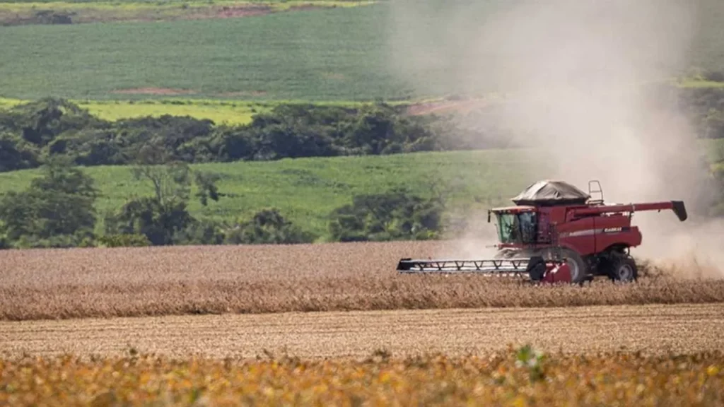 El Niño: Como Minas Gerais se Prepara para Impactos Econômicos em 2024