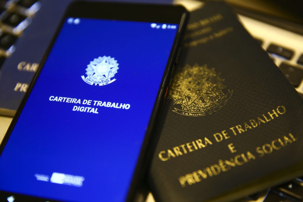 Entre Emprego Formal e Empreendedores: O Perfil do Trabalhador em Divinópolis