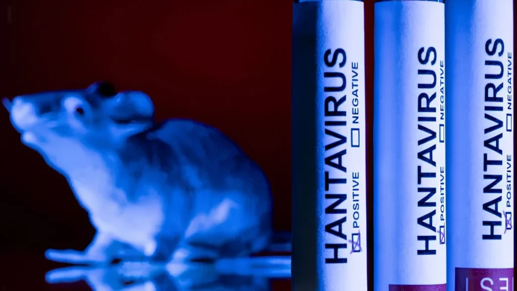 Hantavírus: Impactos Econômicos do Surto no Brasil e no Mundo em 2026