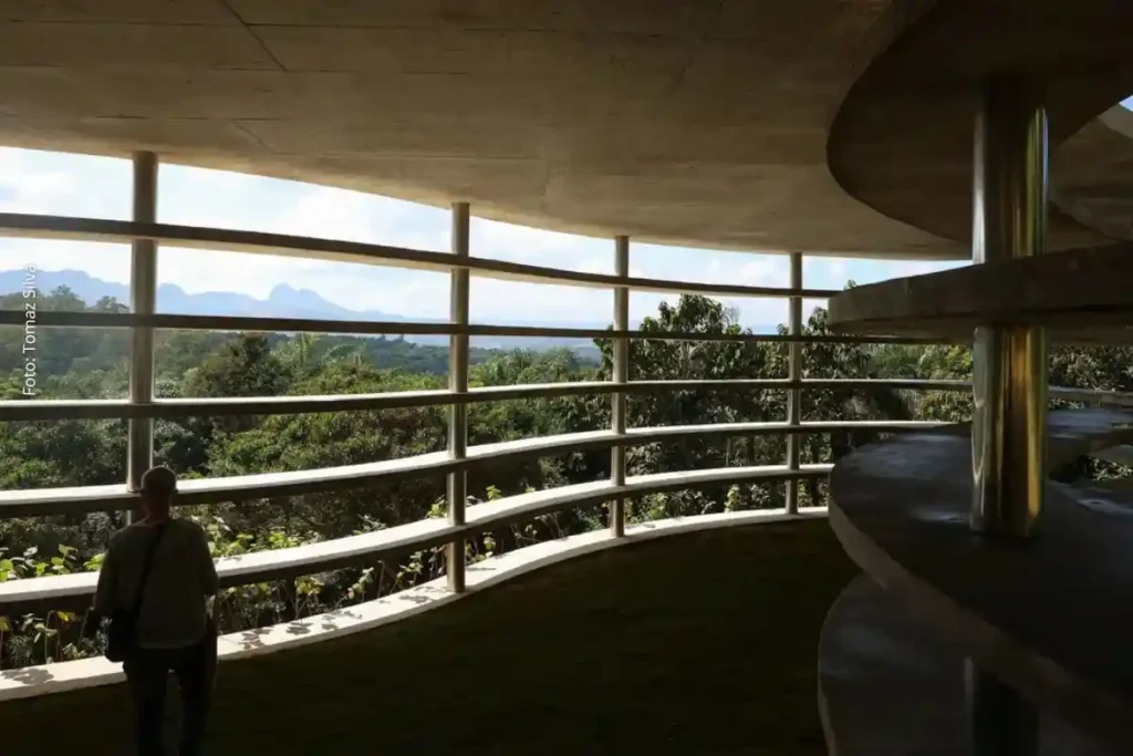 Inhotim Celebra 20 Anos com Novas Obras de Arte e Integração entre Natureza e Cultura