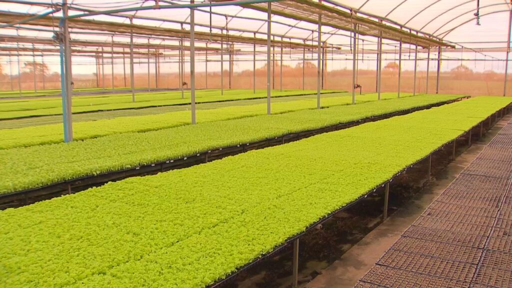 Inovações e Gestão Transformam o Agronegócio no Noroeste Paulista