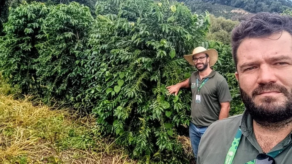 Produção de café em Baependi (MG) cresce 114% com apoio da ATeG e supera média nacional Produção de café em Baependi (MG) cresce 114% com apoio da ATeG e supera média nacional