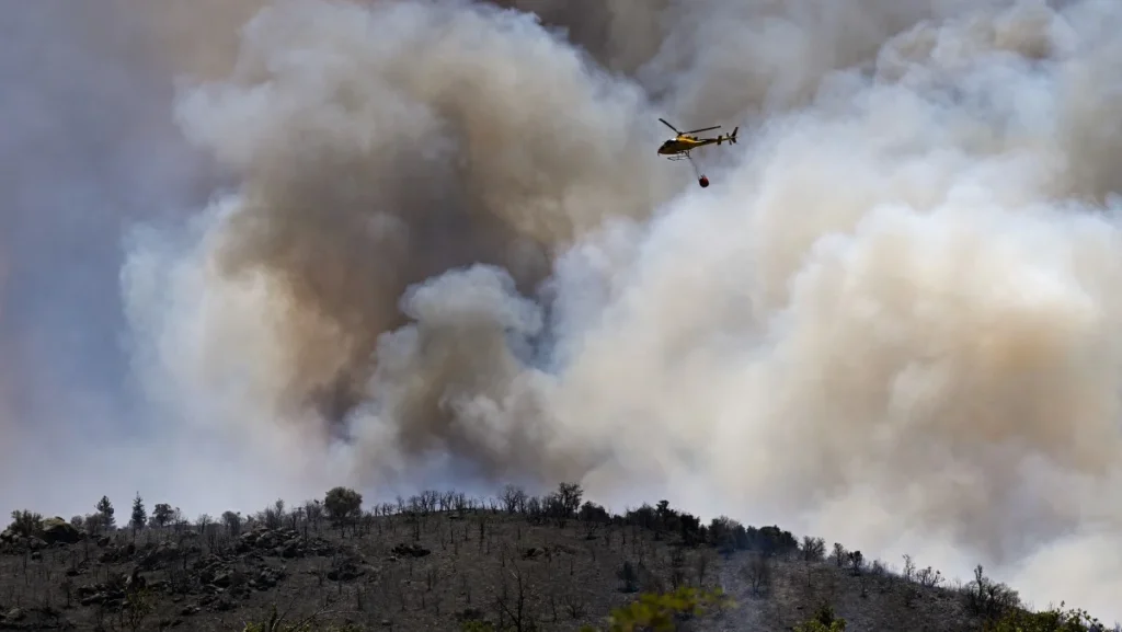 Incêndios Florestais Devastam Mais de 17 Mil Hectares na Europa em Meio a Calor Extremo